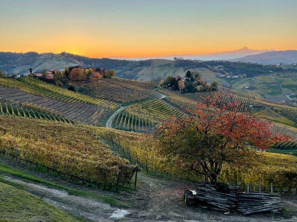 Appartamento Casa Di Giulia Con Soggiorno E Cucina, Camera Matrimoniale Con Tetto A Vista E Grande Parco Circostante Serravalle d'Asti Esterno foto