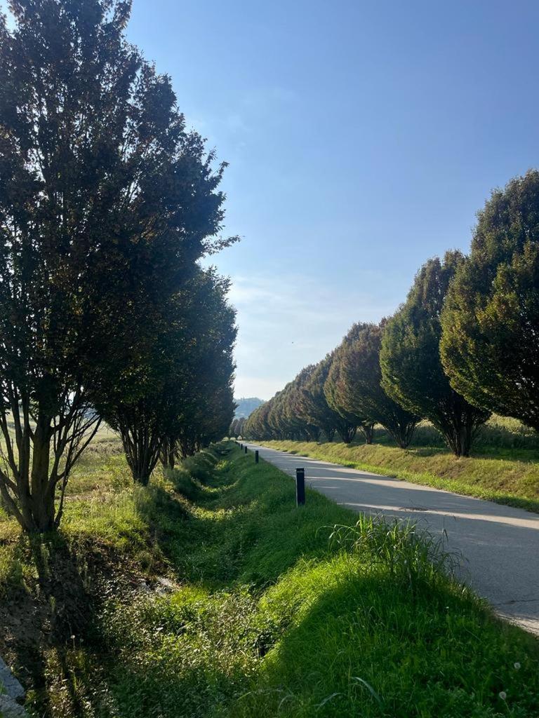 Appartamento Casa Di Giulia Con Soggiorno E Cucina, Camera Matrimoniale Con Tetto A Vista E Grande Parco Circostante Serravalle d'Asti Esterno foto