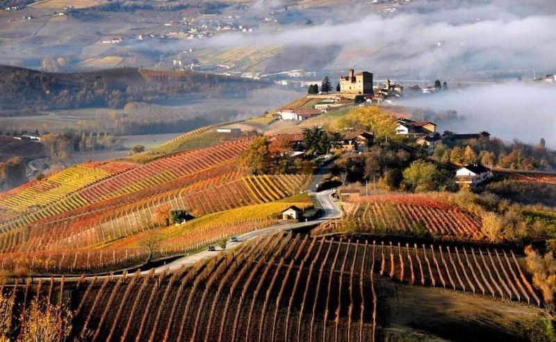 Appartamento Casa Di Giulia Con Soggiorno E Cucina, Camera Matrimoniale Con Tetto A Vista E Grande Parco Circostante Serravalle d'Asti Esterno foto