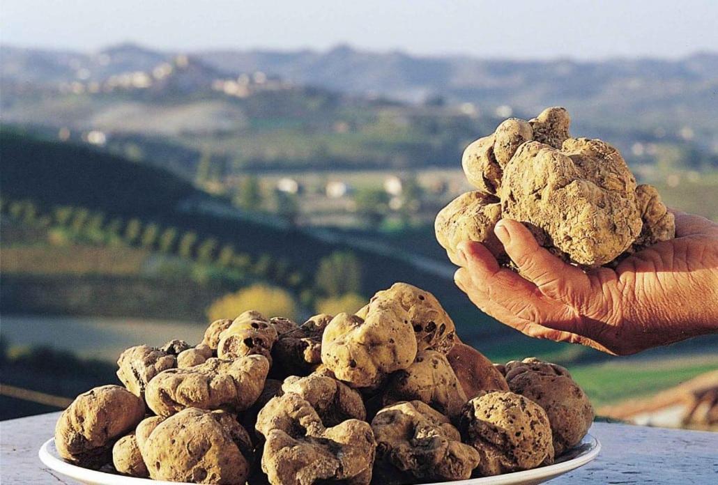 Appartamento Casa Di Giulia Con Soggiorno E Cucina, Camera Matrimoniale Con Tetto A Vista E Grande Parco Circostante Serravalle d'Asti Esterno foto